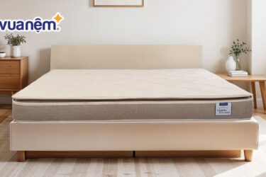 Nệm foam Everon: Top sản phẩm & Bảng giá 2025