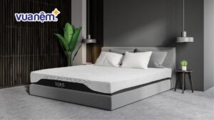 Đệm Foam Hanvico: Top 3 sản phẩm & Bảng giá năm 2025