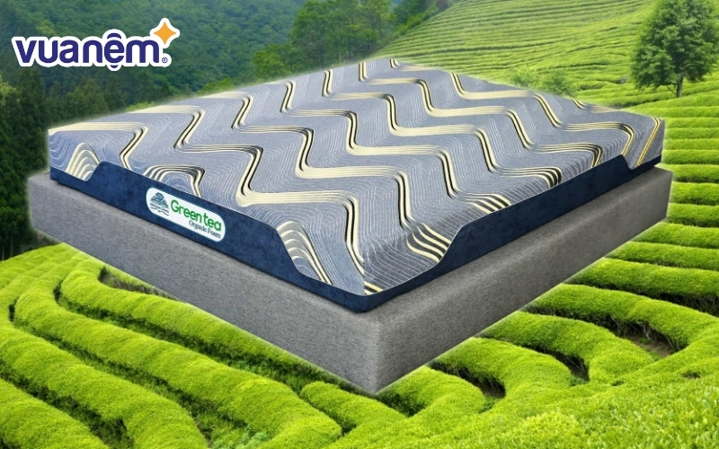Kho Đệm Hà Nội