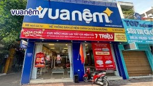 10 Địa chỉ mua nệm bông ép uy tín, giá tốt tại Hải Phòng