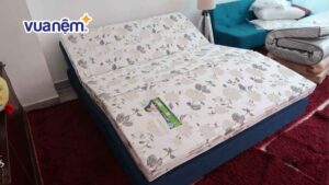 Địa chỉ mua nệm bông ép uy tín, giá tốt tại Quy Nhơn