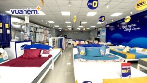 Mua nệm cao su ở đâu uy tín, giá tốt tại Quy Nhơn?