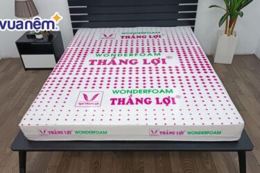 nem cao su wonder foam thang loi thumbnail