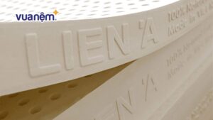 Nệm foam Liên Á: Top 3 sản phẩm & Bảng giá năm 2025