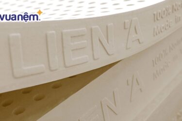 nem foam lien a thumbnail