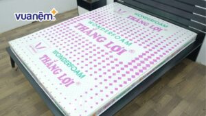 Nệm Foam Thắng Lợi: Top 3 sản phẩm & Bảng giá chi tiết 2025