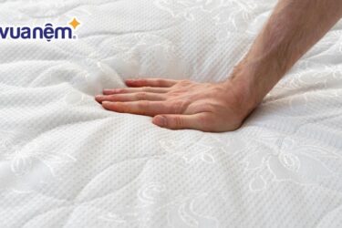 phục hồi nệm foam