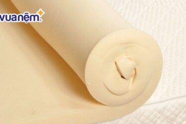 nệm bông ép và nệm mút