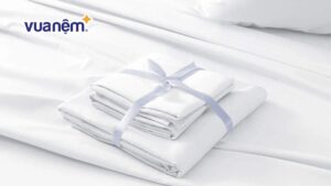 Top 10 mẫu vỏ chăn khách sạn cao cấp, chất lượng nhất