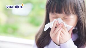 Bảo vệ hệ hô hấp mùa nồm: 6 cách bảo vệ tốt cho gia đình