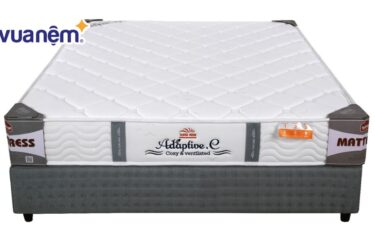 đệm Adaptive Tuấn Anh