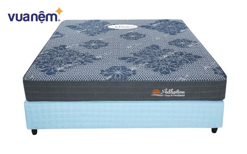 Đệm foam Adaptive Tuấn Anh