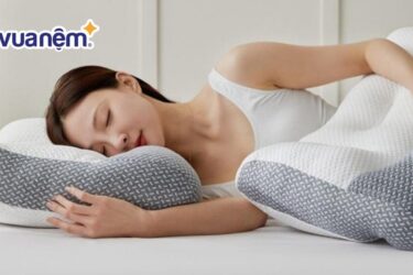 gối công thái học
