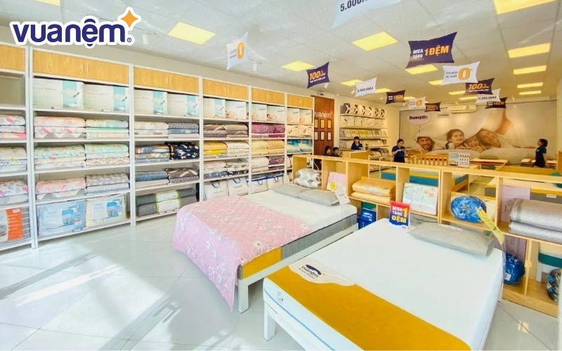 Ưu tiên những mẫu mã nệm đến từ những thương hiệu có tiếng tăm