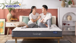 Nên mua nệm loại nào? Top 10 loại nệm tốt đáng mua năm 2025