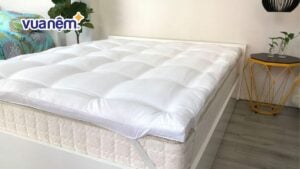 Bảng giá nệm topper Lavender chính hãng mới nhất năm 2025