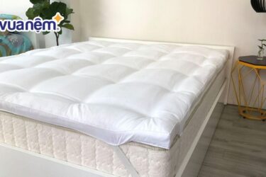 nệm topper lavender