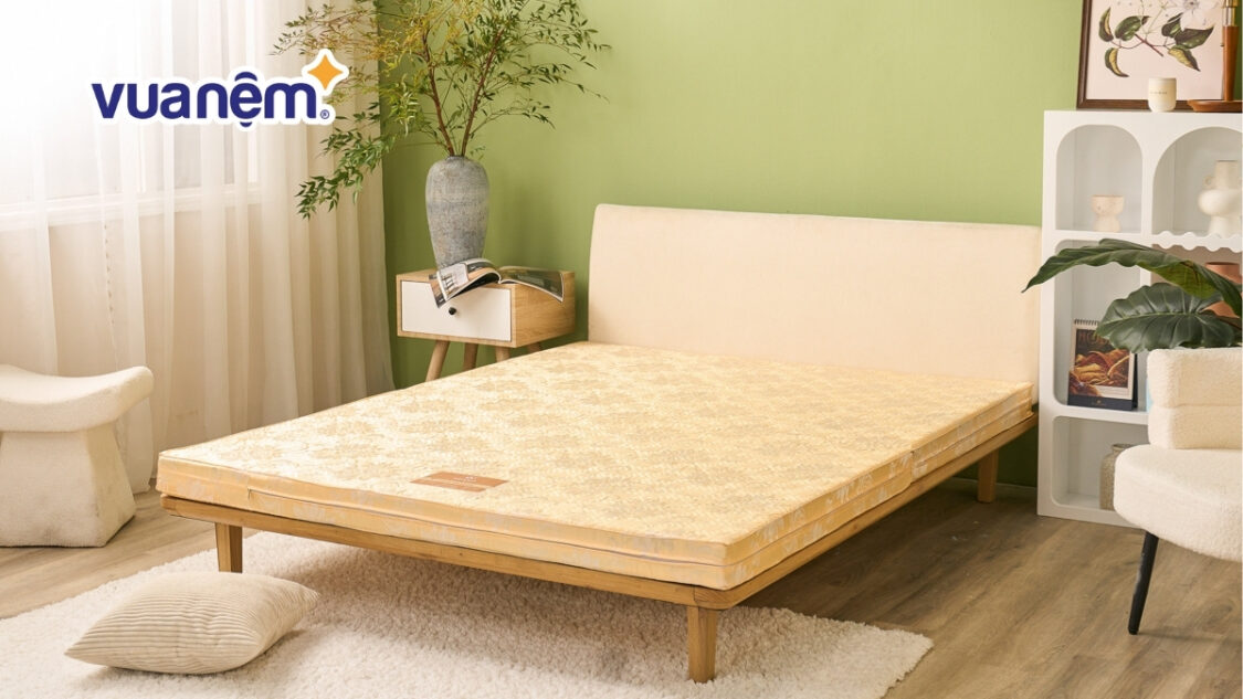 Top 7 mẫu nệm bông ép tốt được ưa chuộng năm 2025