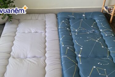 5+ Topper văn phòng được dân công sở ưa chuộng năm 2025