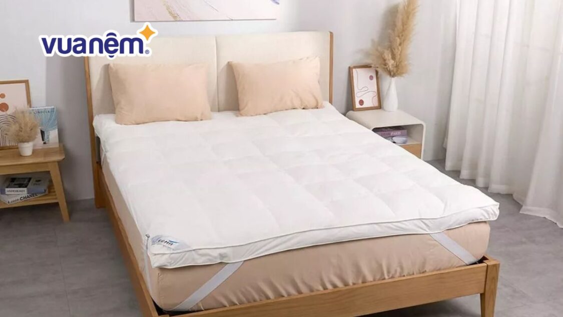 topper nệm 1m6