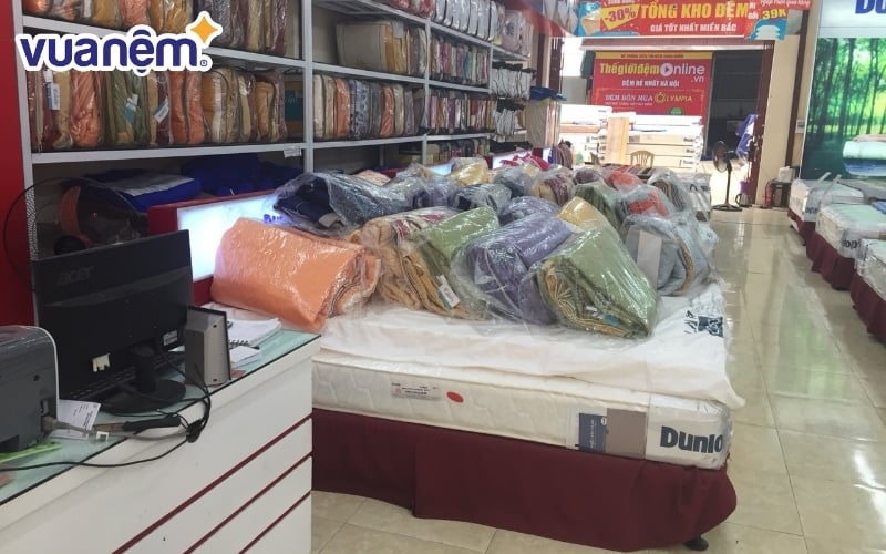 Công ty chăn ga gối nệm Sông Hồ luôn được người tiêu dùng tin chọn
