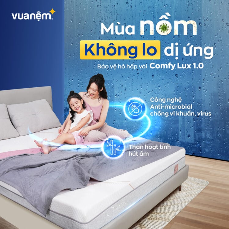 Nệm foam than hoạt tính Comfy Lux 1.0 ngăn chặn vi khuẩn mùa nồm