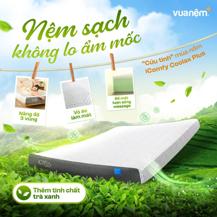 Nệm foam Icomfy Coolax Plus trà xanh hút ẩm khử mùi hiệu quả