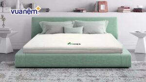 Top 10 Mẫu nệm cao su nhập khẩu bán chạy nhất năm 2025