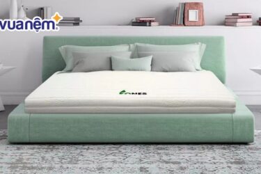 nệm cao su nhập khẩu