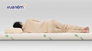 Nệm cao su có giúp giảm đau lưng không? Kết quả nghiên cứu mới nhất?