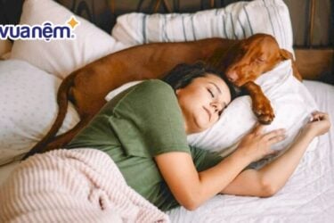 Nhiệt độ tốt nhất cho giấc ngủ vào mùa hè