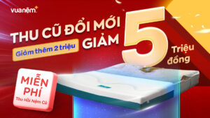 Vua Nệm hỗ trợ đổi nệm cũ lên tới 7 triệu đồng – Miễn phí thu hồi tại nhà