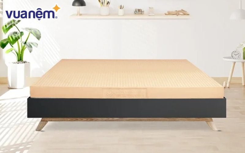 Cập nhật giá nệm cao su 1m4 - Nệm cao su Vạn Xuân