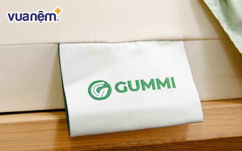 Nệm cao su từ những thương hiệu uy tín sẽ đảm bảo tốt cho sức khỏe người dùng