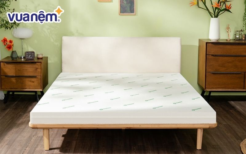Kinh nghiệm mua nệm cao su thiên nhiên dựa trên màu sắc