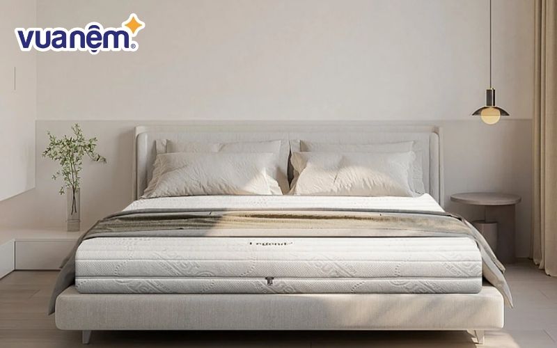 Mua nệm cao su thiên nhiên chính hãng giá tốt tại Vua Nệm