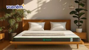 Kinh nghiệm mua nệm cao su chất lượng, chính hãng, giá tốt