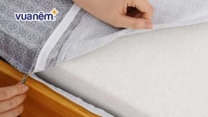 Chia sẻ kinh nghiệm mua nệm bông ép rẻ – đẹp – chất lượng