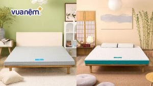 So sánh nệm foam và nệm bông ép: Nên chọn loại nệm nào?