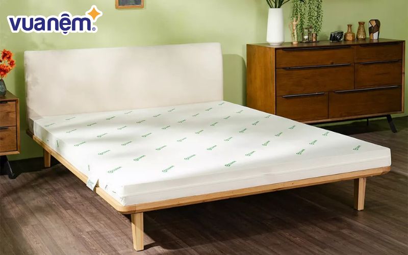 Nệm Gummi Lite
