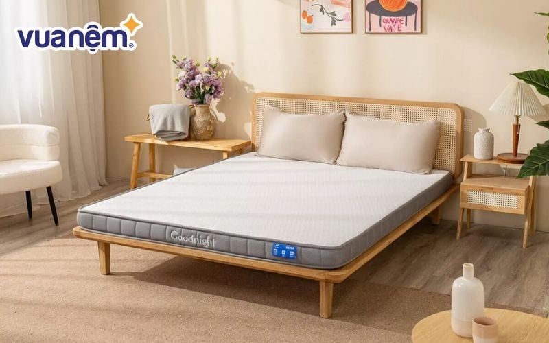 Nệm cao su Goodnight Rena