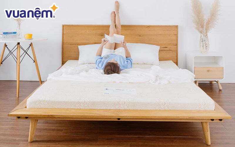 Nệm Foam Goodnight Eva