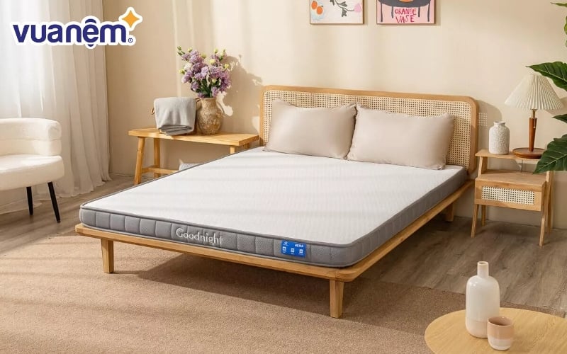 Đệm giá rẻ dưới 3 triệu thương hiệu Goodnight