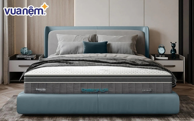 Nệm Dunlopillo Cambridge Luxe làm sáng bừng không gian nhà bạn