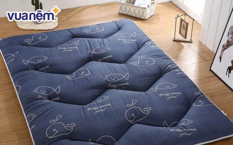 Nệm trải sàn Hàn Quốc phù hợp cho những căn phòng nhỏ hẹp