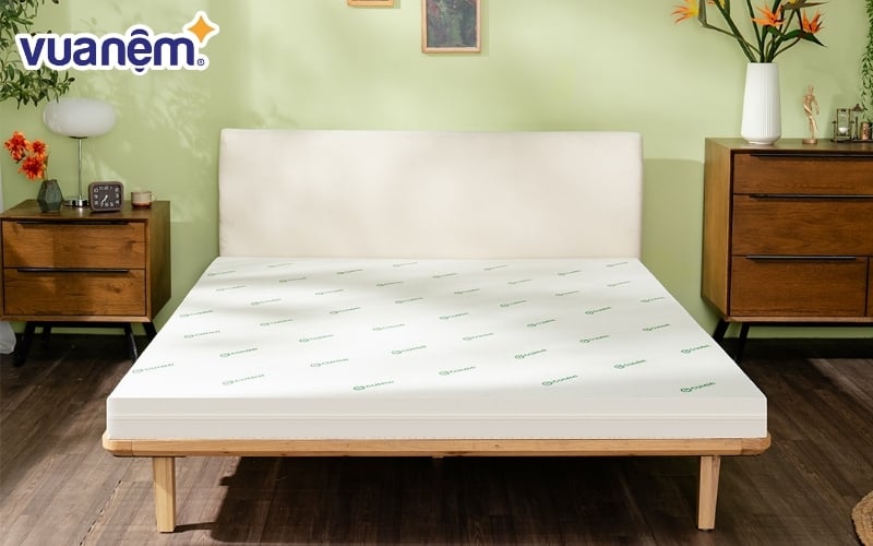 Nệm cao su đa tầng Gummi Lite