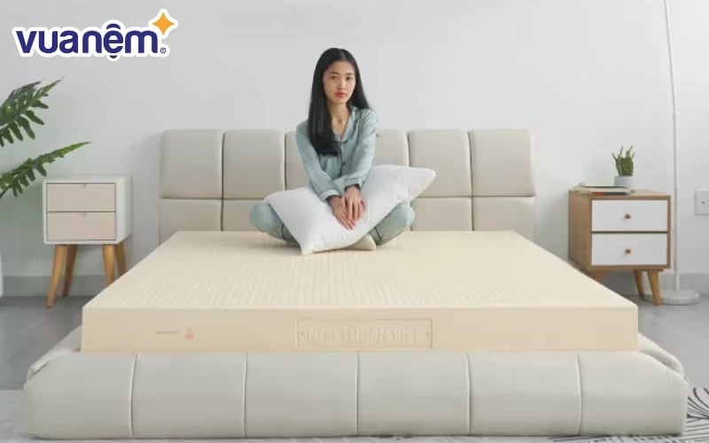 Mua nệm cao su hãng nào? Tham khảo ngay Vạn Thành
