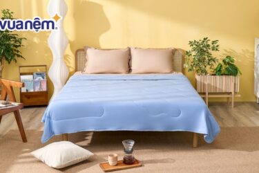 review chăn Amando Ice Silk