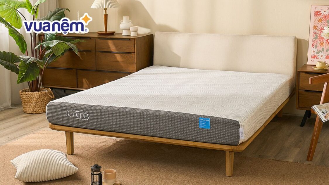 review nệm iComfy Coolax Plus