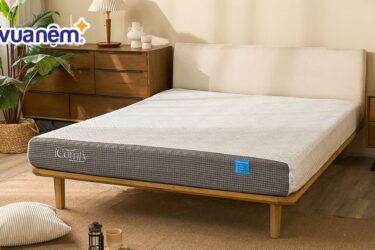 review nệm iComfy Coolax Plus